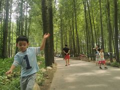 -林间山庄