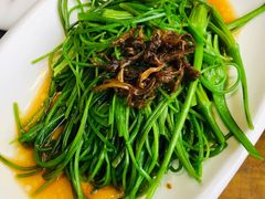 -尽善百年古院餐厅(王家老宅店)