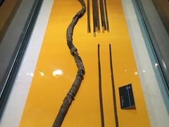 -呼伦贝尔民族博物馆