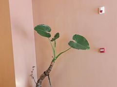 -泰澜·泰式古法按摩SPA(华泰广场店)