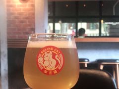 -Boxing Cat Brewery拳击猫精酿啤酒馆(永福店)
