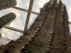 -正佳雨林生态植物园