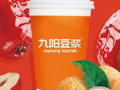 九阳红枣桂圆豆浆-鲁北陈记正宗商河老豆腐