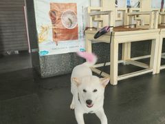 -华晟山城火锅(开发区港西东阁里店)