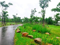 景点-上海长兴岛郊野公园