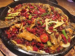 -老板恋上鱼(印象城店)