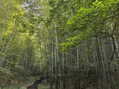 -南山风景名胜区