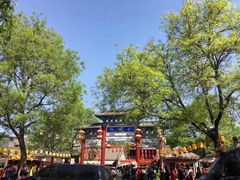 -摔碗酒(永兴坊店)
