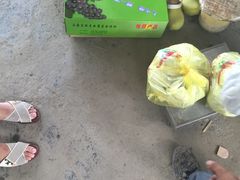 -马陆小张葡萄园农家乐