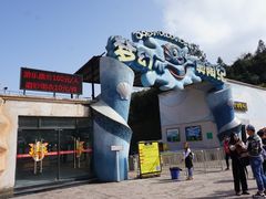 -梦幻奥陶纪景区