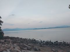 -深圳湾公园(南山区)