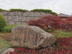 -嘉定紫藤园