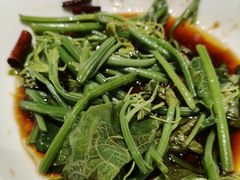 炝拌丝瓜尖-西贝(紫荆广场店)