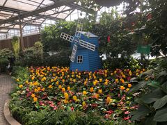 -南宫五洲植物乐园