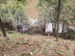 -百里山水画廊乌龙峡谷