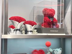 -ROSEONLY诺誓(广州K11店)