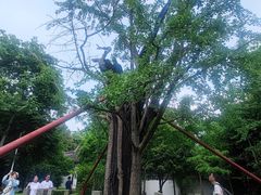 -上海佘山国家森林公园天马山园