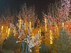 -大同古城墙