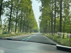 -黄海国家森林公园