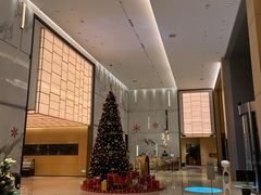 -广州奥园喜来登酒店