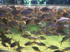 -多彩贵州城极地海洋世界