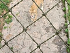 -西霞口神雕山野生动物世界