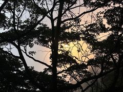 -银瓶山森林公园(谢岗镇)