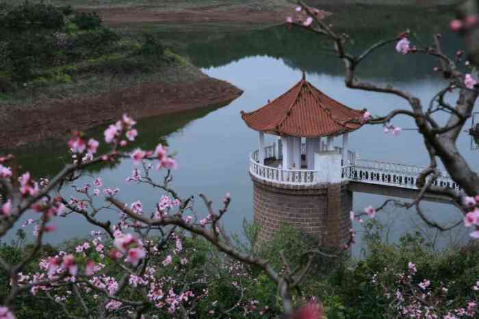 梅湾湖-"以前 这儿是做的风景区,游人如织 漫山遍."-大众点评移动版