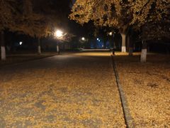 -大叔家福鼎小吃(十全街店)