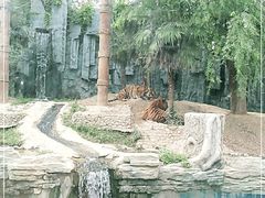-五龙山野生动物王国