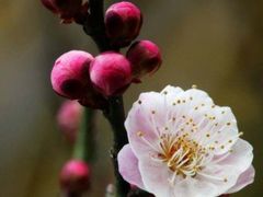 -杭州六谷生态休闲农庄有限公司