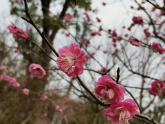 -广富林郊野公园