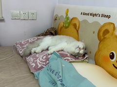 -美联众合动物医院·24h京西诊疗中心