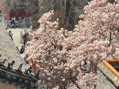 -潭柘寺景区