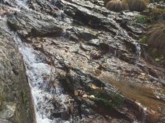 -龙道沟景区