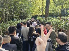 -韶山毛泽东同志故居