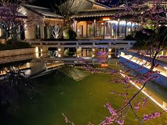 -雅达·阳羡溪山小镇中心