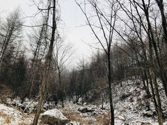 -五家山森林公园滑雪场