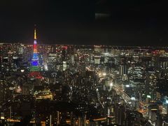 -六本木新城展望台(东京城市景观)