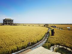 -嗨辣小聚·盘锦河蟹·海鲜烧烤龙虾(盘锦十年好店)