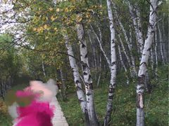 -塞罕坝国家级自然保护区