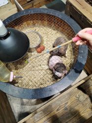 -酷嗒动物文化乐园(cutezoo西溪乐天城店)