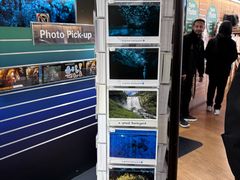 -怀托摩萤火虫洞