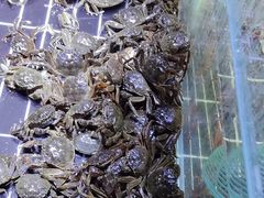 -聚盛源蒸汽海鲜火锅烤肉自助(巨川金海岸购物广场店)