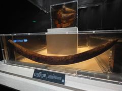 -金沙遗址博物馆