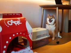 -成都武侯祠希尔顿惠庭酒店