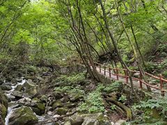 -青峰峡国家森林公园