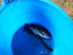 -侯臣咖啡文化村