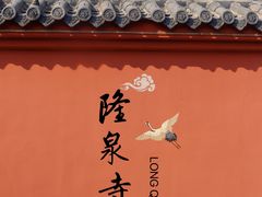 -百脉泉景区