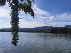 -苏家围·东江画廊旅游景区